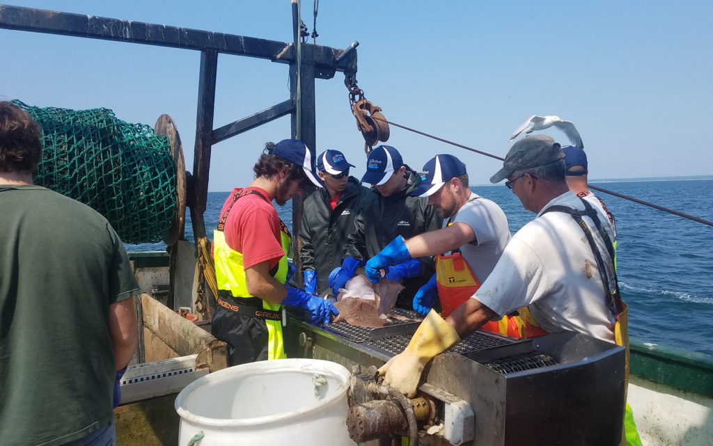 Rhode Island's apprenticeship program with Commercial Fisheries Center works to train new workers for one of the state's primary industries.