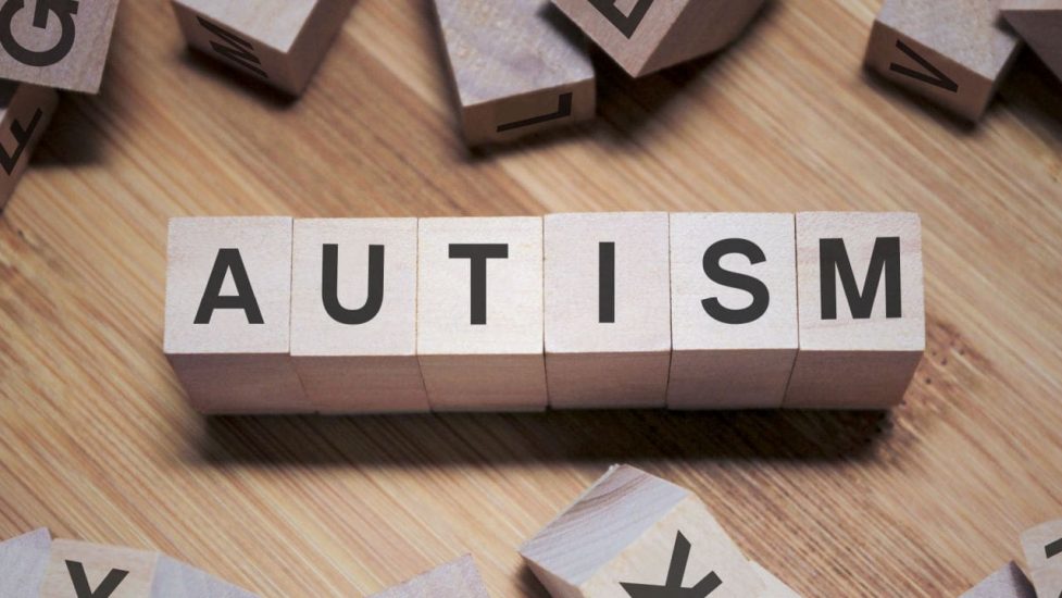 AUTISM BLOCKS