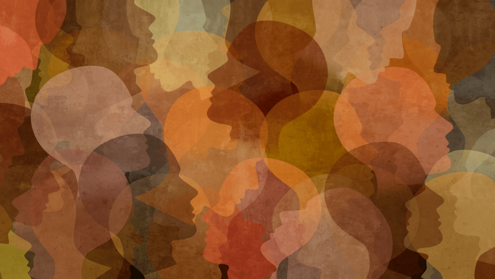 Diversity
