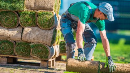 LANDSCAPING