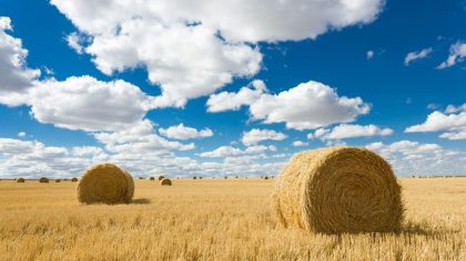 Montana farm