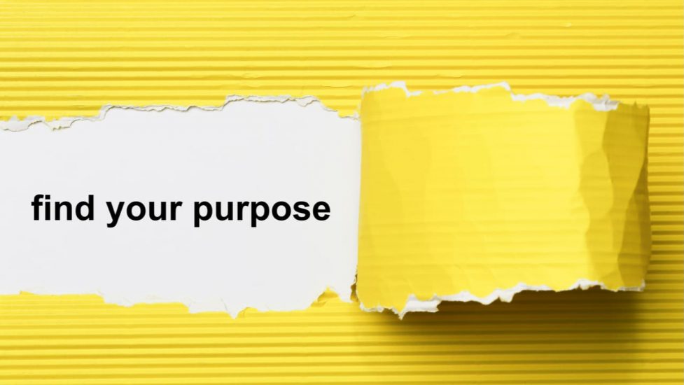 Purpose