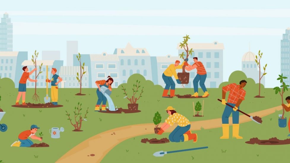 climate corps - volunteers