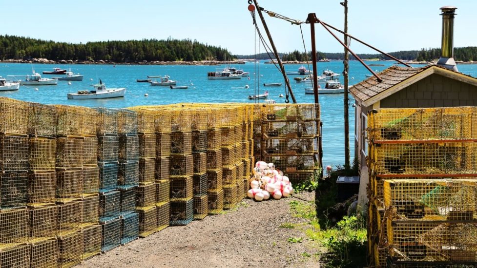 commercial fishing in maine