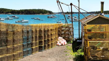 commercial fishing in maine