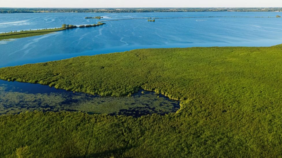 freshwater Wisconsin