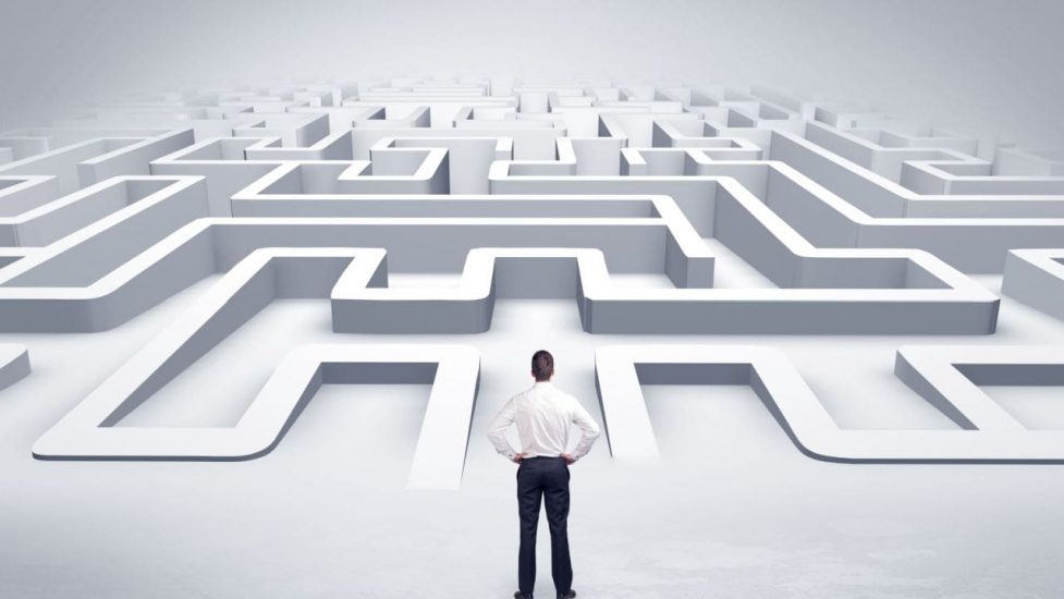job search maze