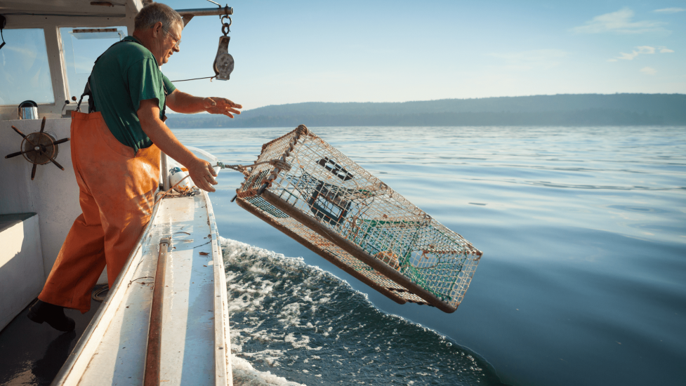 lobster-fishing