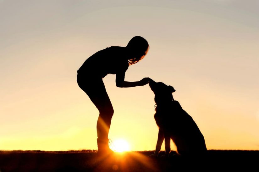 shutterstock_266960666