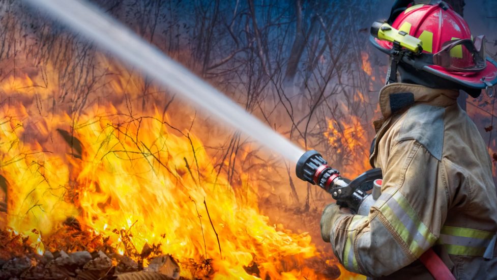 wildfire-firefighter.jpg