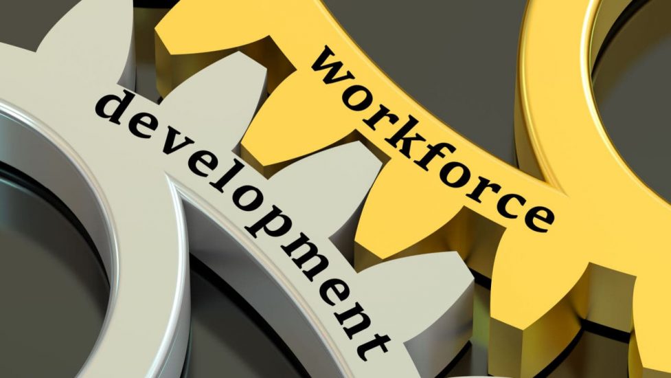 workforce development